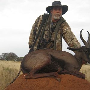 South Africa Black Springbok Hunting