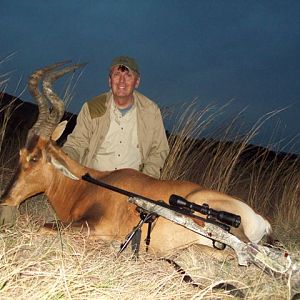 Red Hartebeest Hunting in South Africa