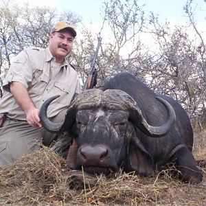 Cape Buffalo Hunt