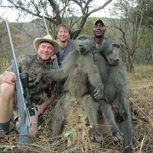 Baboon Hunt