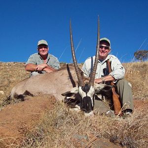 Gemsbok Hunting South Africa