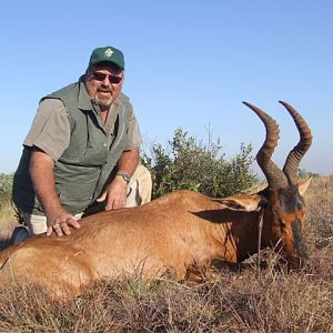 Red Hartebeest Hunting in South Africa