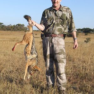 South Africa Jackal Hunting