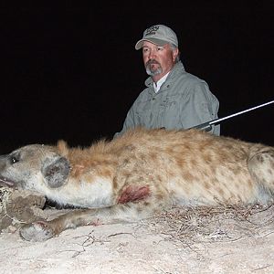 Spotted Hyena Hunt