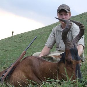 Red Hartebeest Hunting in South Africa