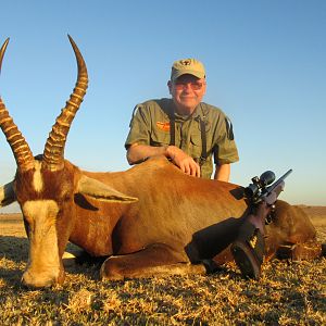 Blesbok