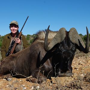 Hunting South Africa Black Wildebeest