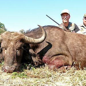 Hunting Buffalo Cow in South Africa