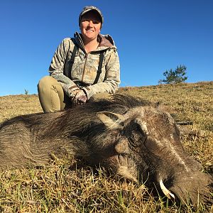 Hunting Warthog in South Africa