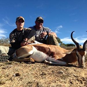 Springbok Hunt South Africa