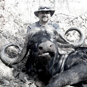 Hunting Cape Buffalo