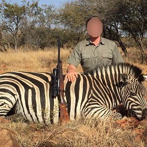 South Africa Burchell's Plain Zebra Hunt