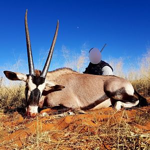 Gemsbok Hunting South Africa