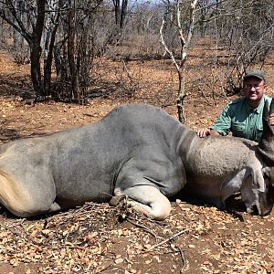 Hunting Livingstone Eland Zimbabwe