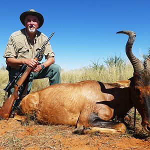 Red Hartebeest Hunting in Namibia