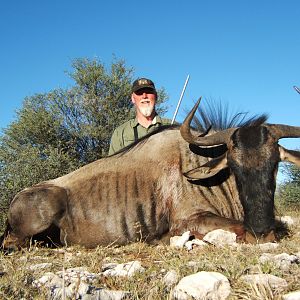 Blue Wildebeest Hunting in Namibia