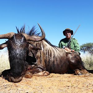 Blue Wildebeest Hunting in Namibia