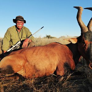 Red Hartebeest Hunting in Namibia