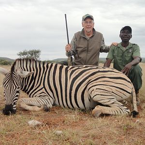 Namibia Burchell's Plain Zebra Hunt