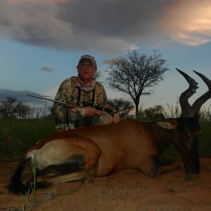 Red Hartebeest Hunting in Namibia