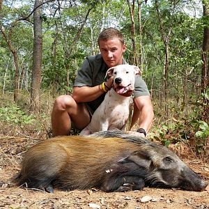 Hunting Bushpig Mozambique