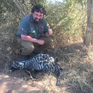 African Civet Hunt South Africa