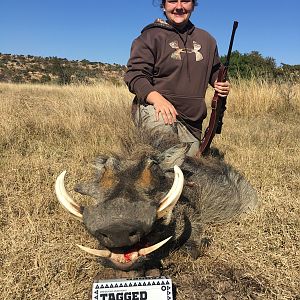 Hunting Warthog in South Africa