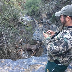 Kudu Hunt in South Africa