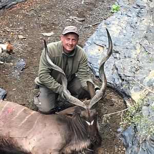 Kudu Hunt in South Africa