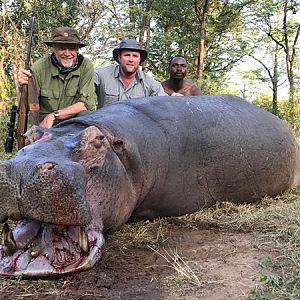 South Africa Hunt Hippo