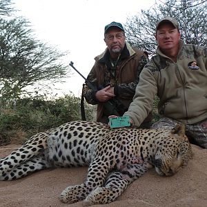 Leopard Namibia