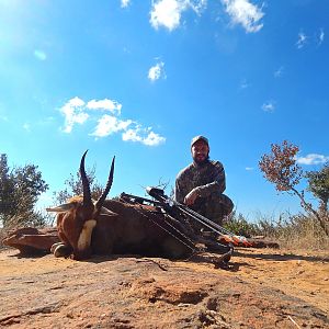 Blesbok Ewe