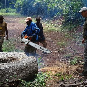 Congo Clearing Trees & Bushes