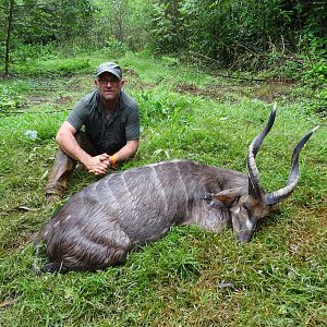 Hunt Congo Forest Sitatunga