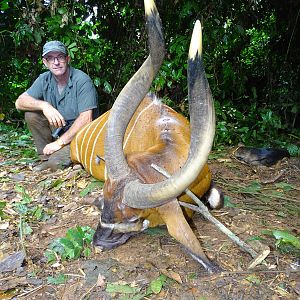 Bongo Hunting in Congo