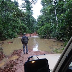 Hunting in Congo