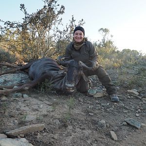 Blue Wildebeest Hunting in South Africa