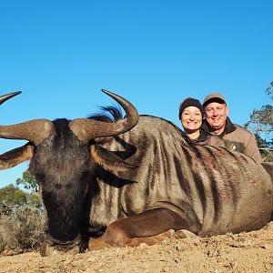 Blue Wildebeest Hunting in South Africa