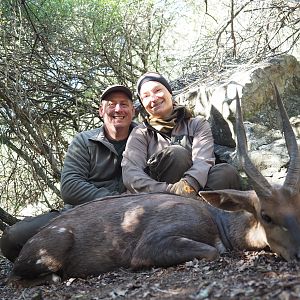 South Africa Hunting Bushbuck