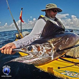 Kayak sailfish