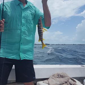 Fishing Belize