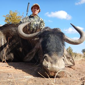 Blue Wildebeest Hunting in South Africa