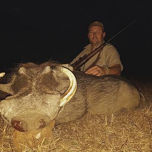 Hunting Warthog in South Africa