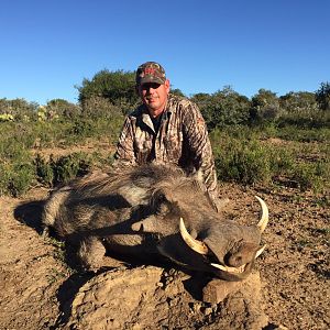 Hunting Warthog in South Africa