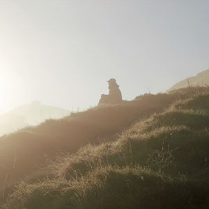 Ample Hunting, NZ