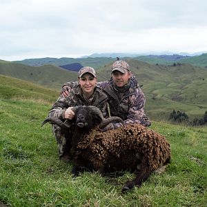 Ample Hunting, NZ