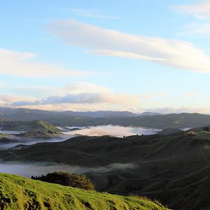 Ample Hunting, NZ