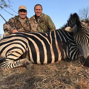 Namibia Burchell's Plain Zebra Hunt