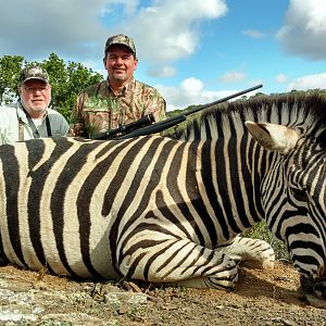 South Africa Burchell's Plain Zebra Hunt