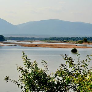 Luangwa Valley Zambia